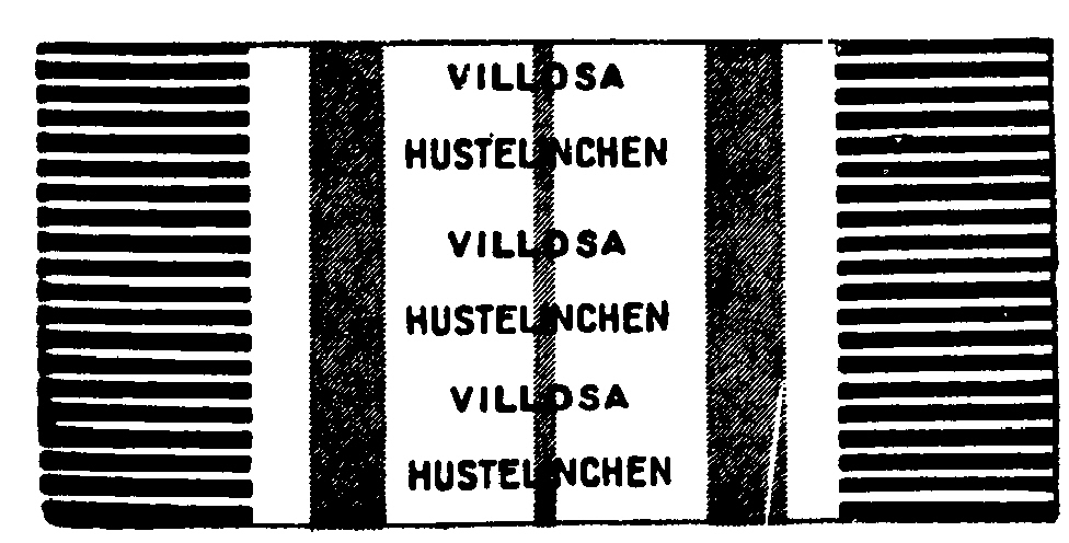 Trademark image for VILLOSA HUSTELINCHEN