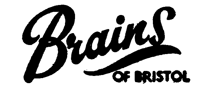 Trademark image for BRAINS
