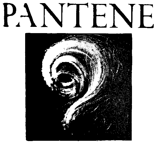 Trademark image for PANTENE